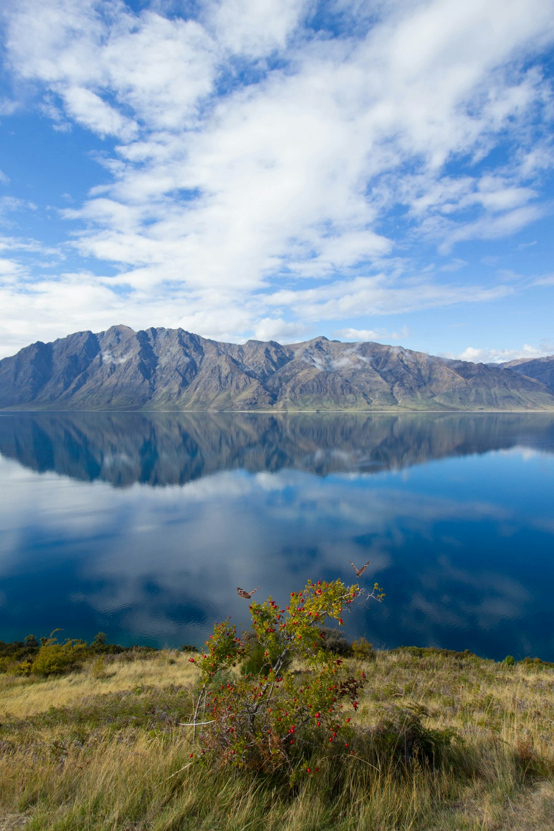 Highland photo spot Lake Hawea New Zealand