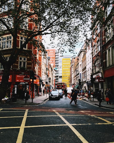 low angle photo of green trees beside buildings