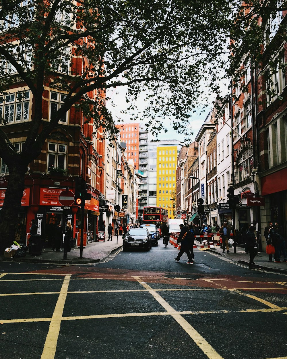 low angle photo of green trees beside buildings