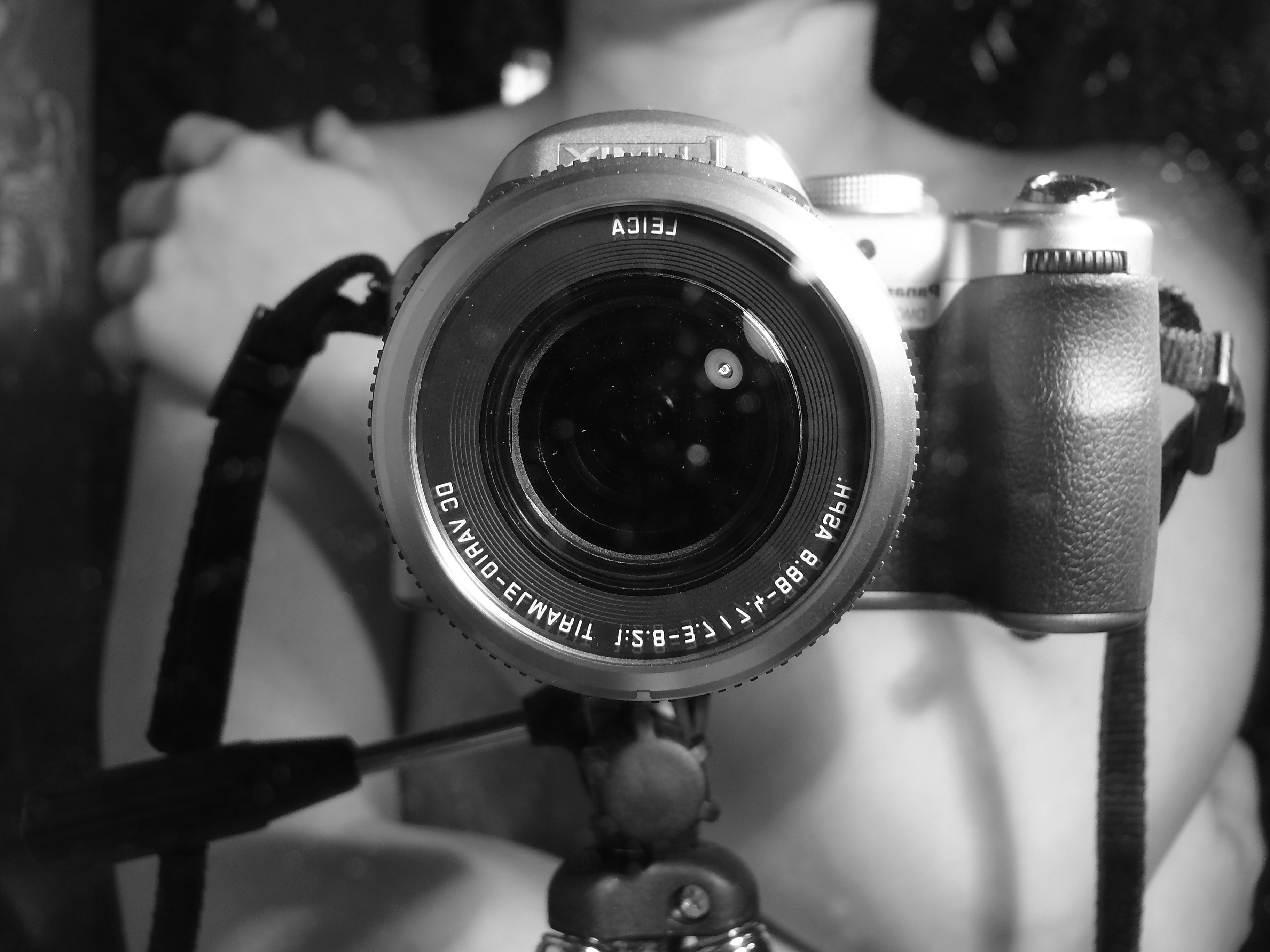 Free Unsplash photo from Tanya Vorobiova