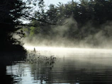 A quiet morning scene with mist rising off Lake Erie and lush greenery.