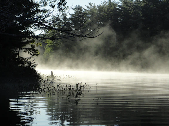 A quiet morning scene with mist rising off Lake Erie and lush greenery.