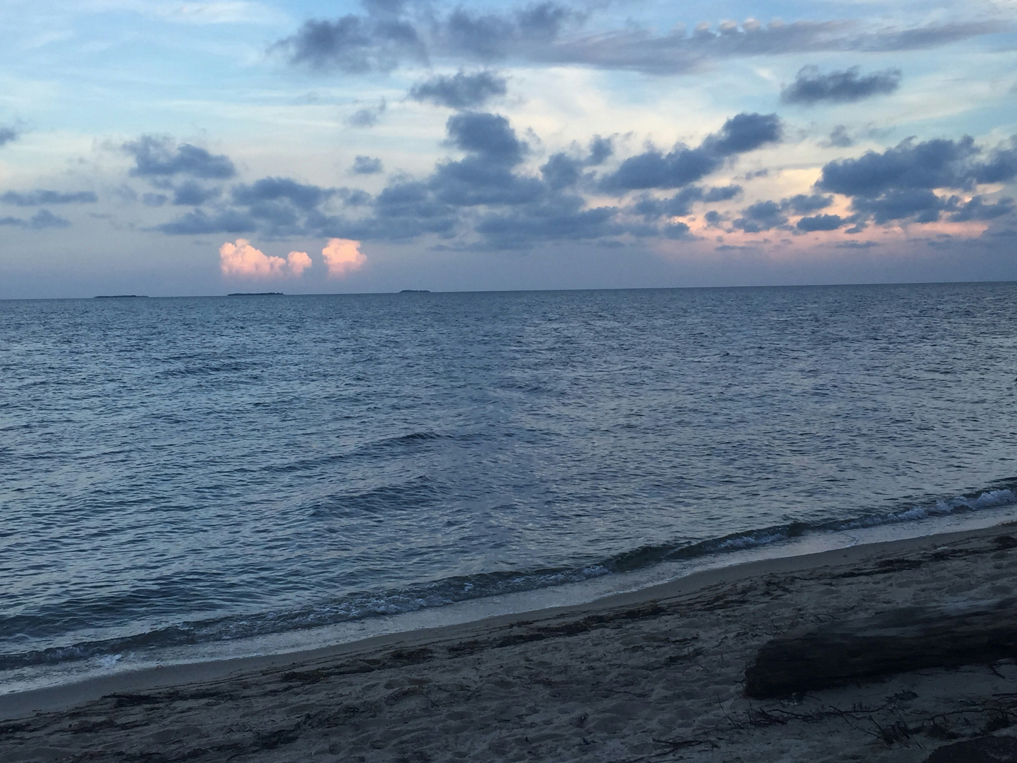 Free Unsplash photo from Arien Afshar