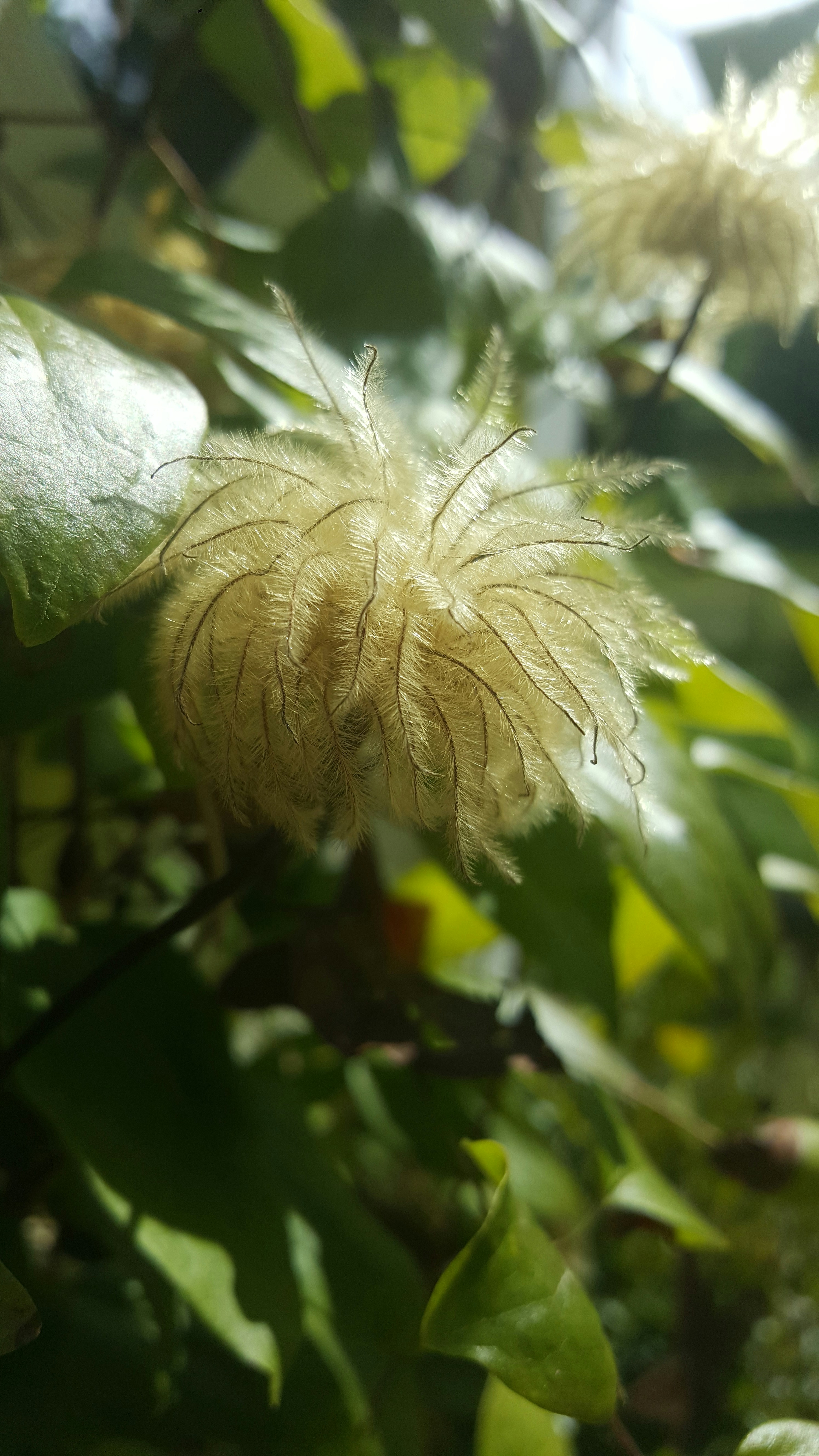 Free Unsplash photo from Aasha Edwards