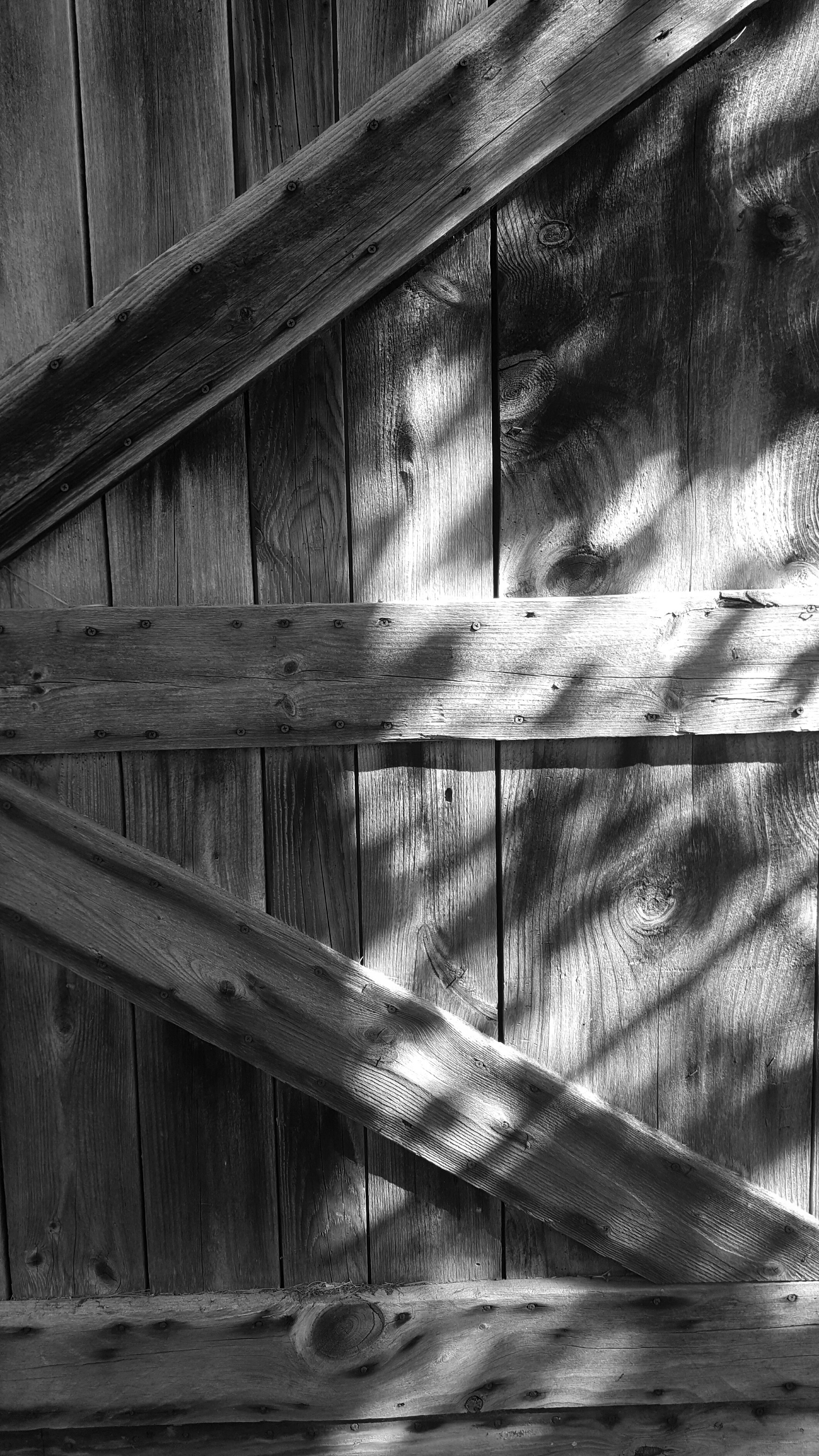 Free Unsplash photo from Aasha Edwards