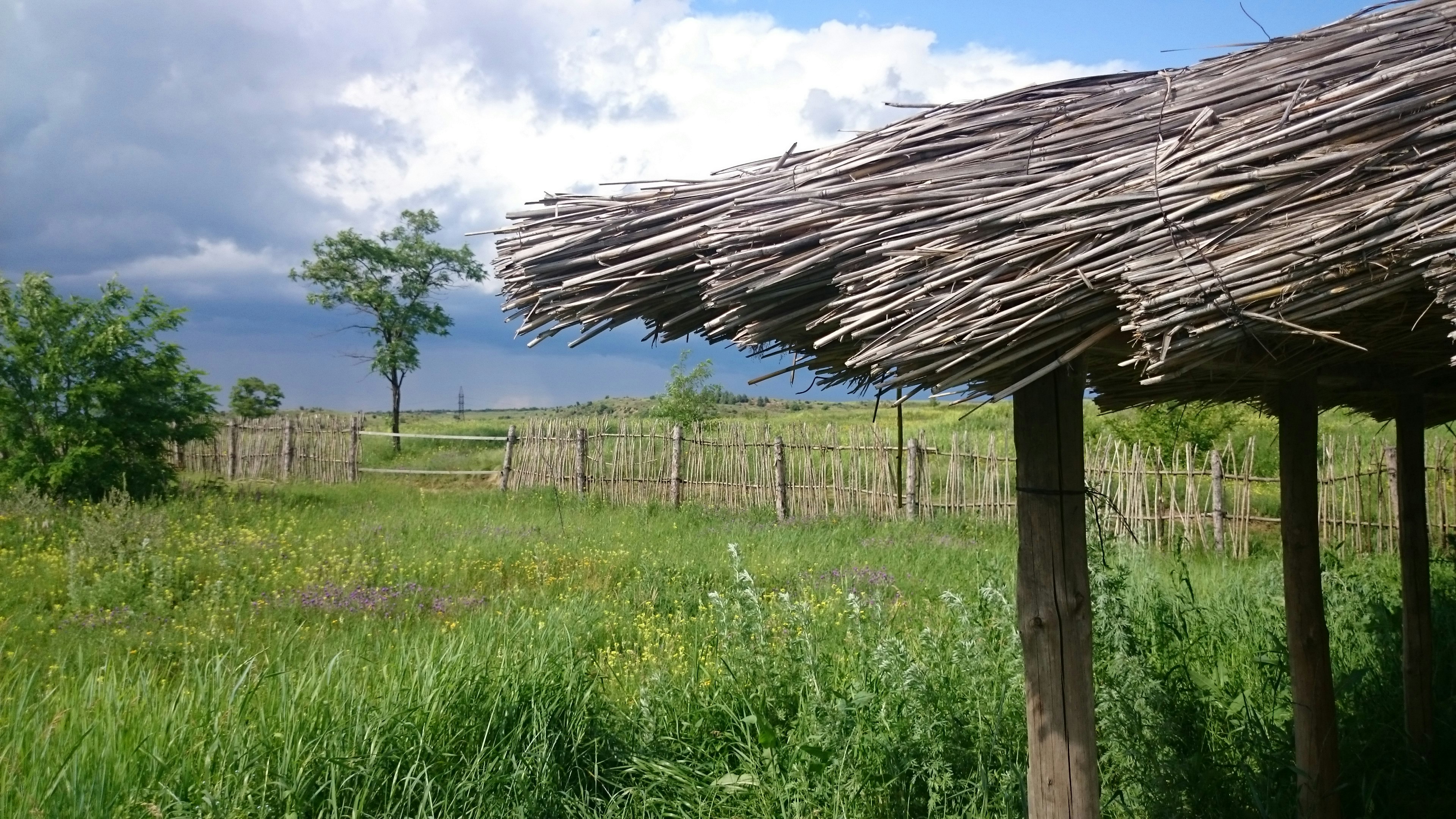 Free Unsplash photo from Dmitrij Mihajlov