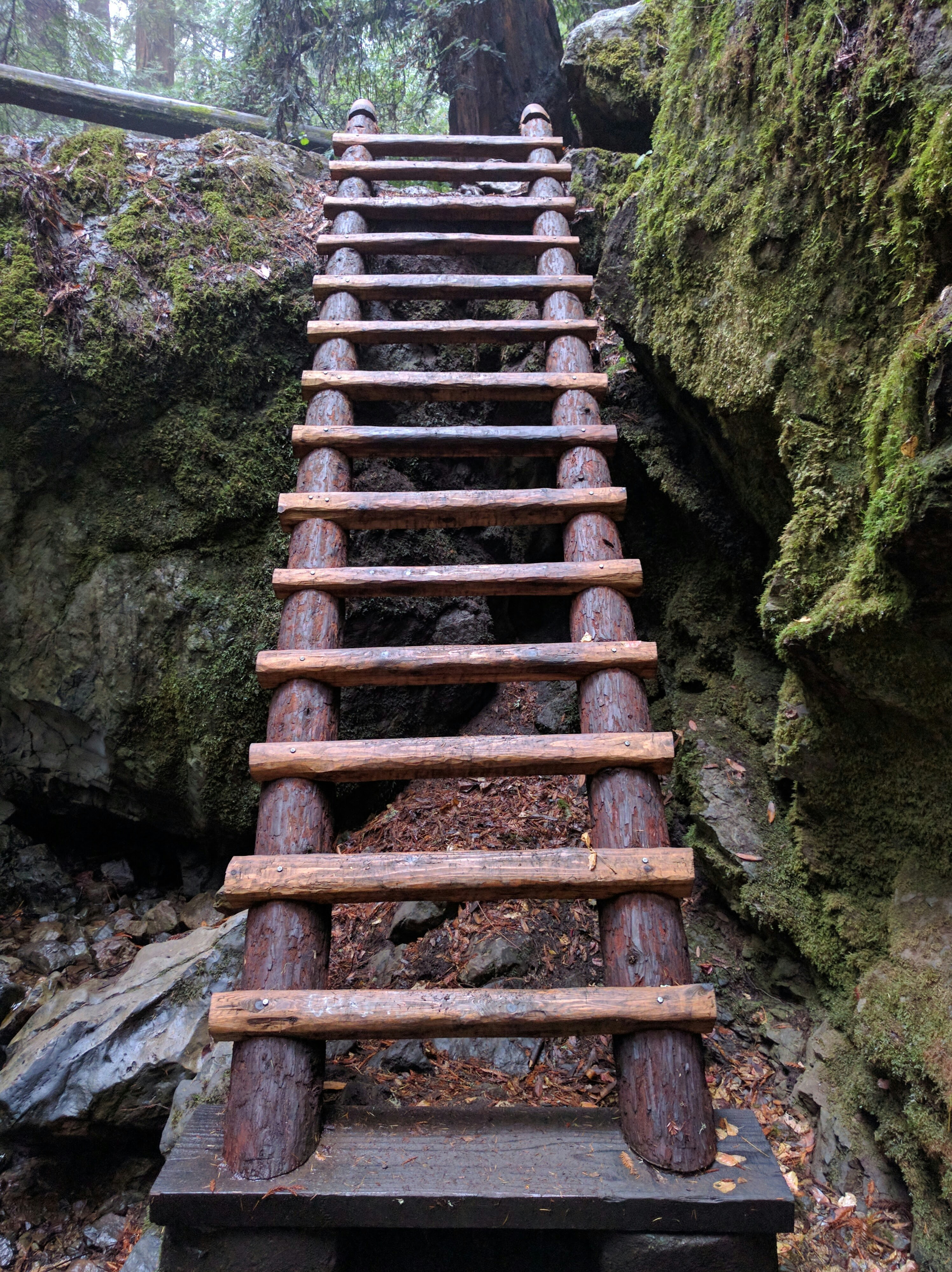 Free Unsplash photo from Dan Reynolds