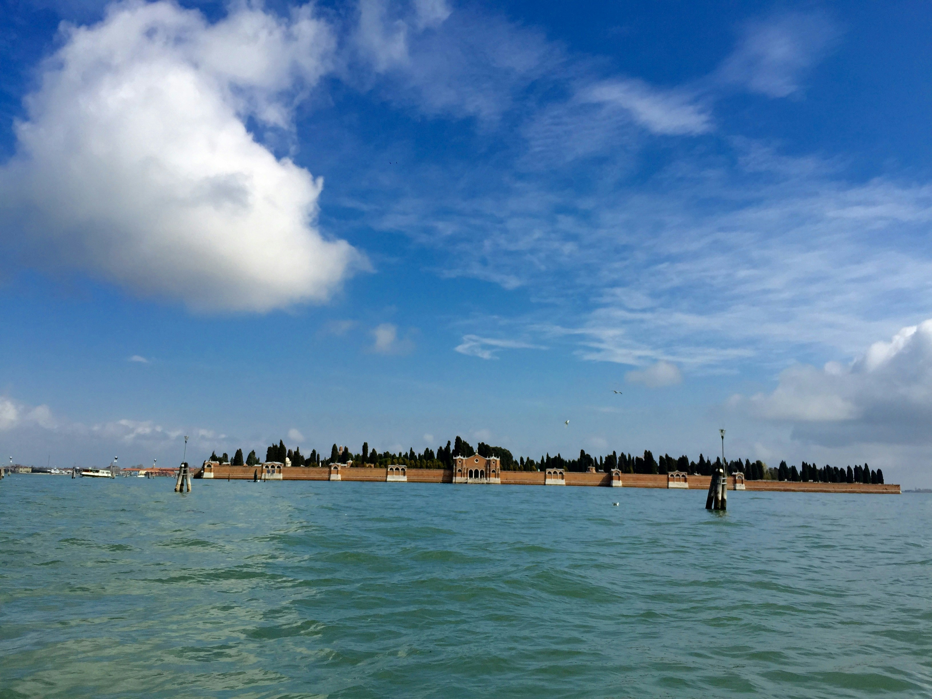 Free Unsplash photo from Connie Chan