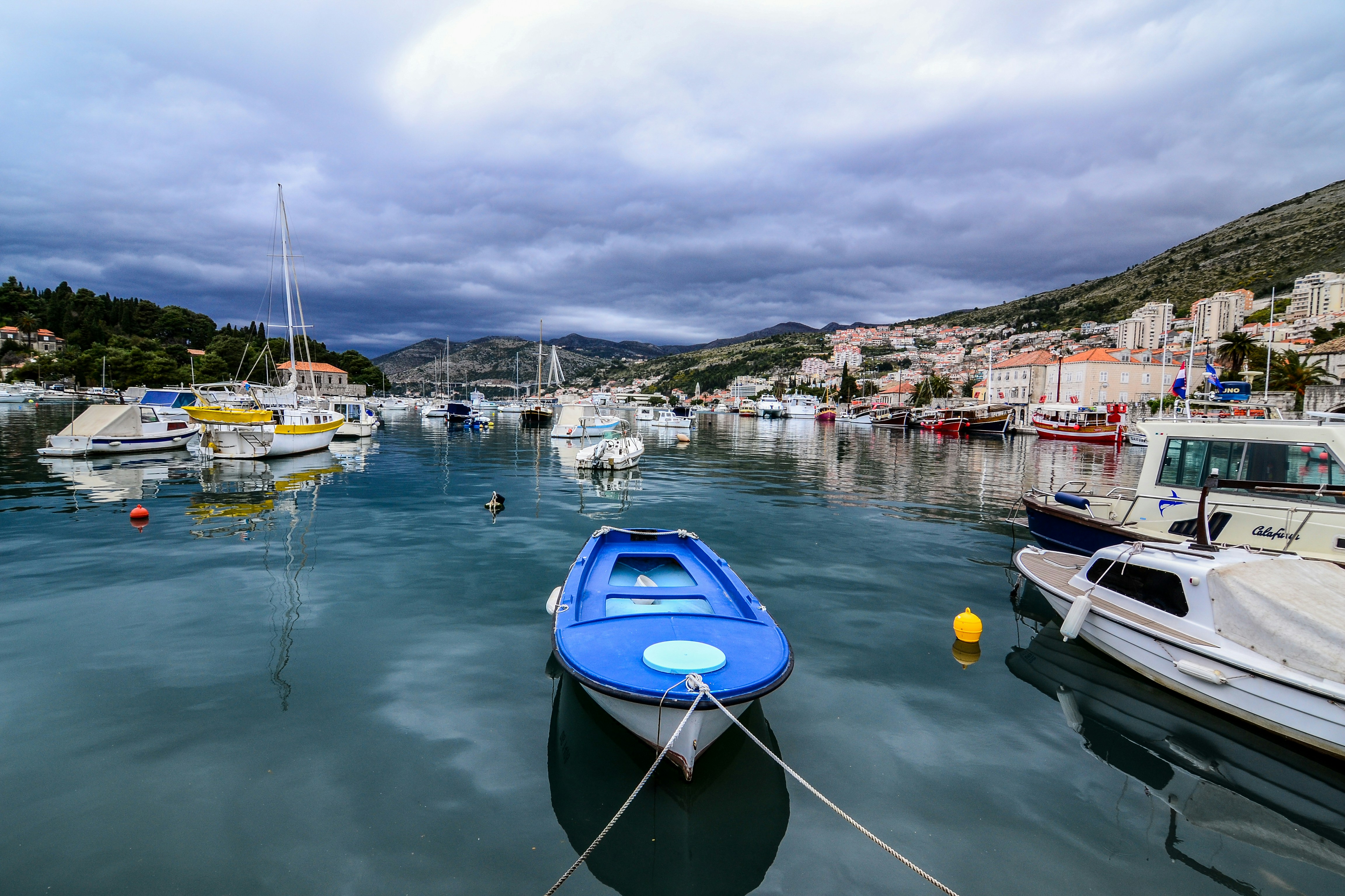 Free Unsplash photo from Ungurianu Vlad