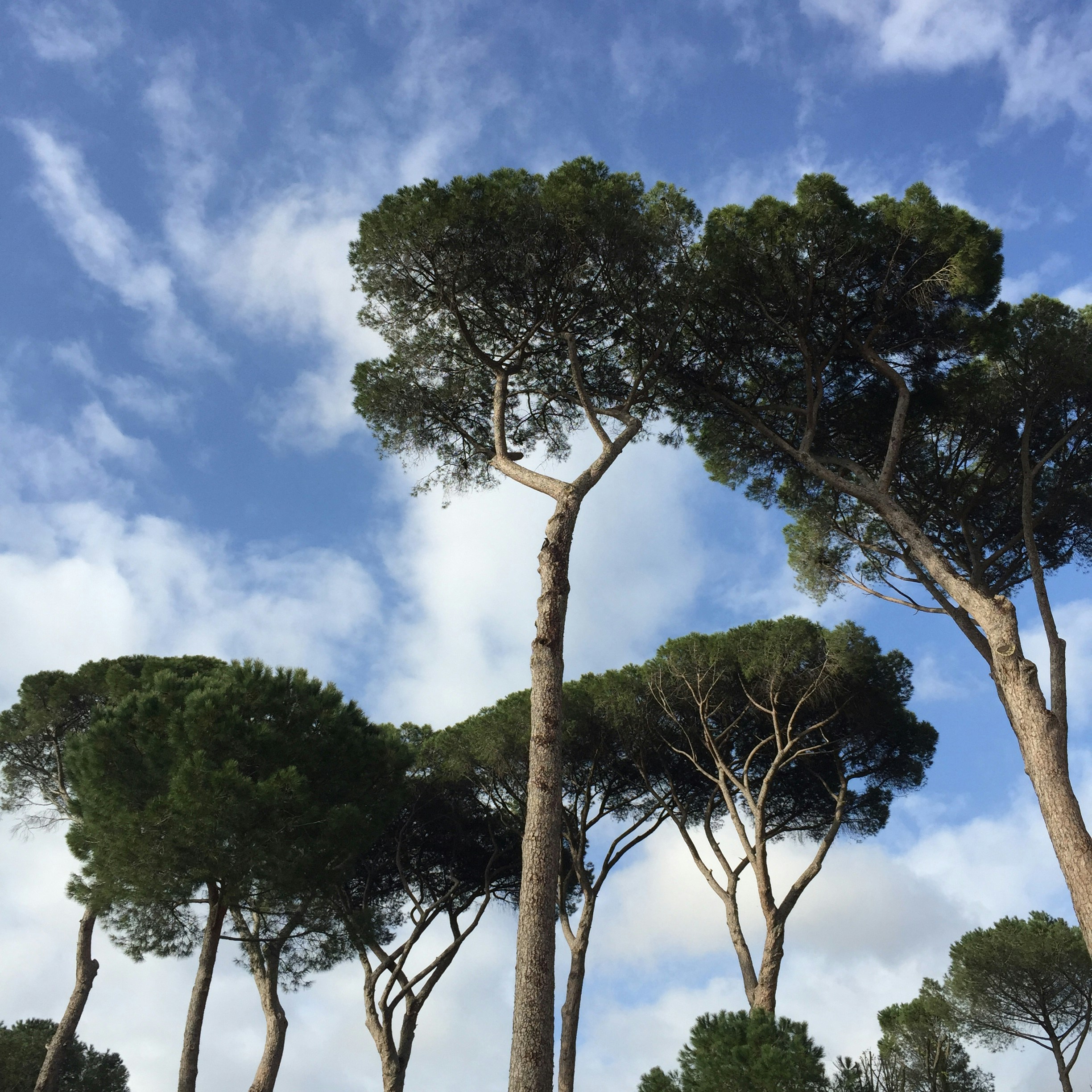 Free Unsplash photo from Connie Chan