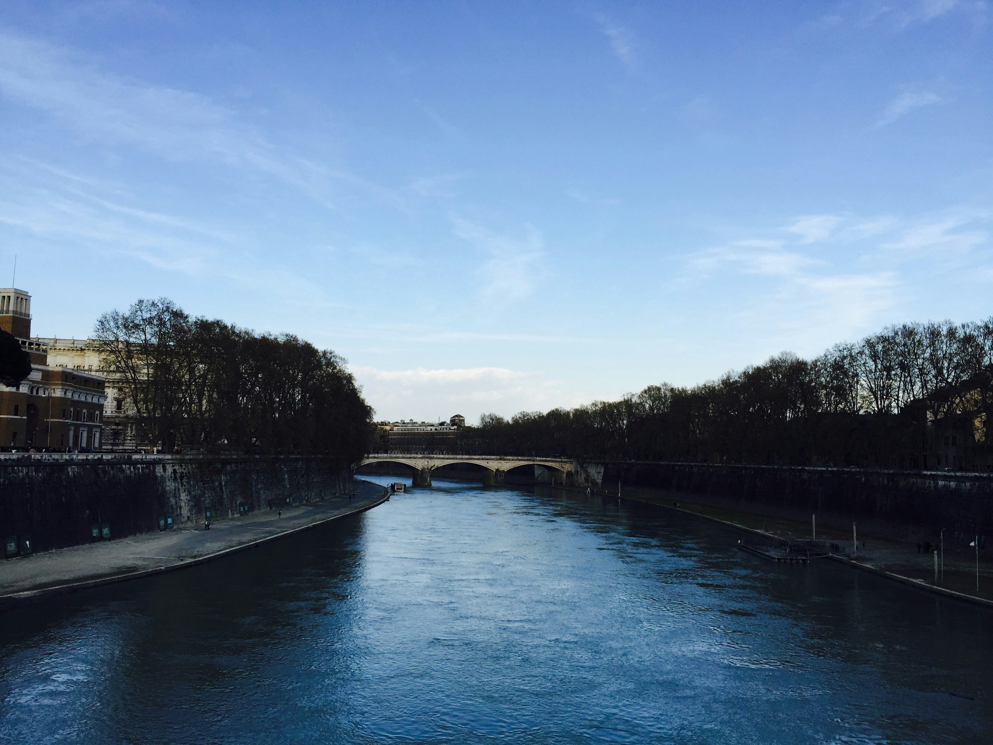 Free Unsplash photo from Connie Chan