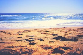Golden sandy beach with footprints in focus, leading towards a shimmering blue ocean and gentle waves under a bright sky.