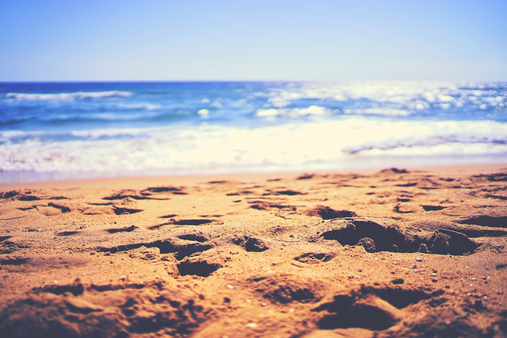 seashores overlooking sea under clear sky during daytime