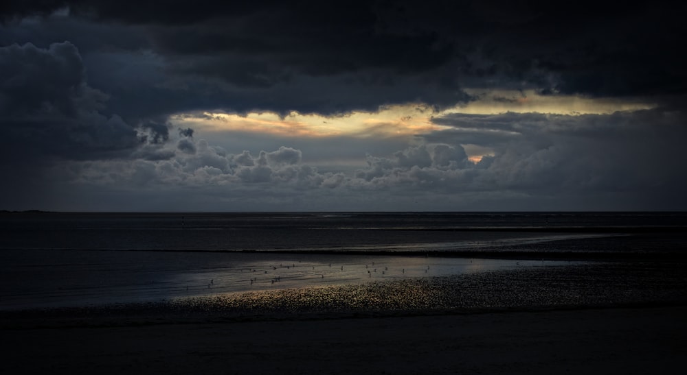 photographie de paysage de bord de mer pendant la journée nuageuse