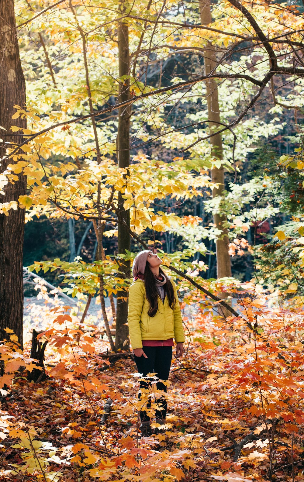 photo of woman looking up the trees