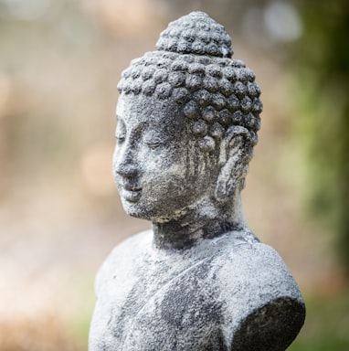 gray concrete statue of Buddha