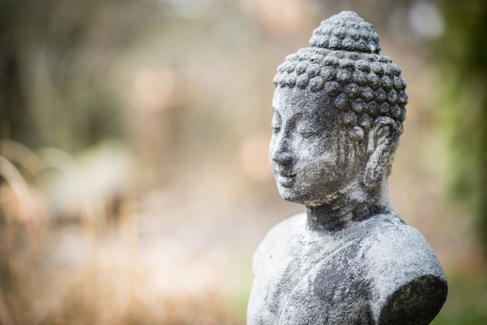 buddha, enlightenment, self actualization