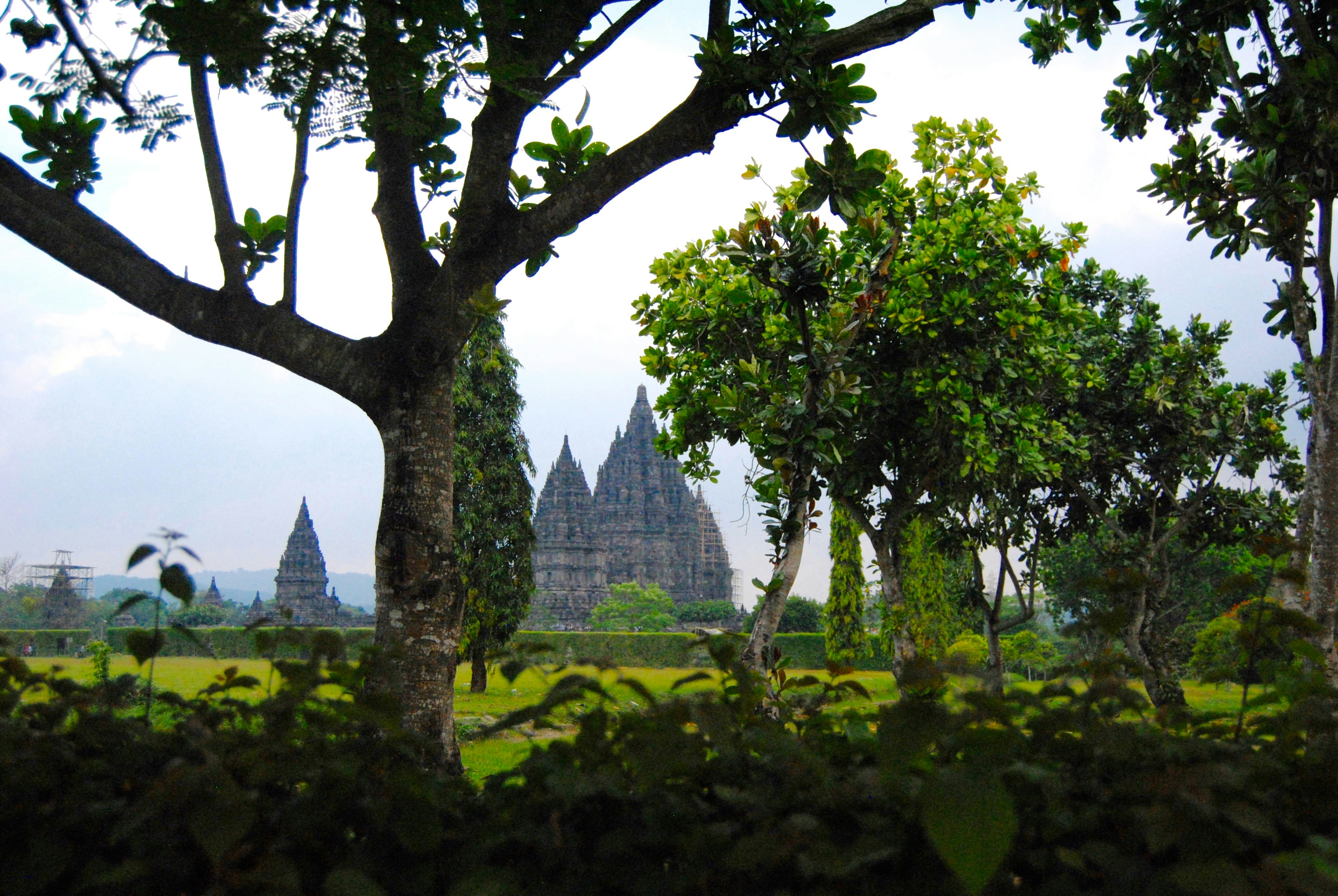 Free Unsplash photo from Alice Giuliano