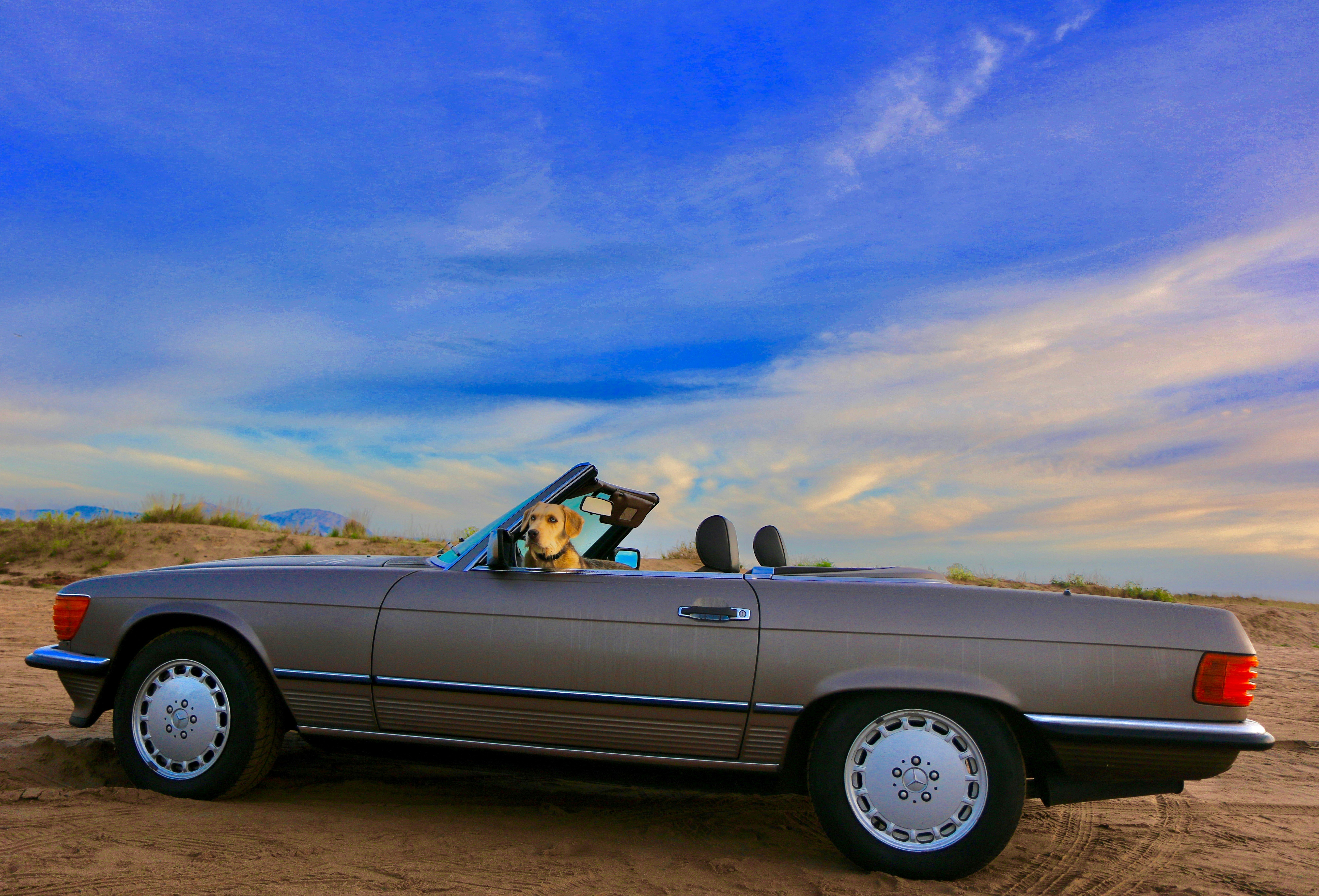 Free Unsplash photo from Jordi Zamora