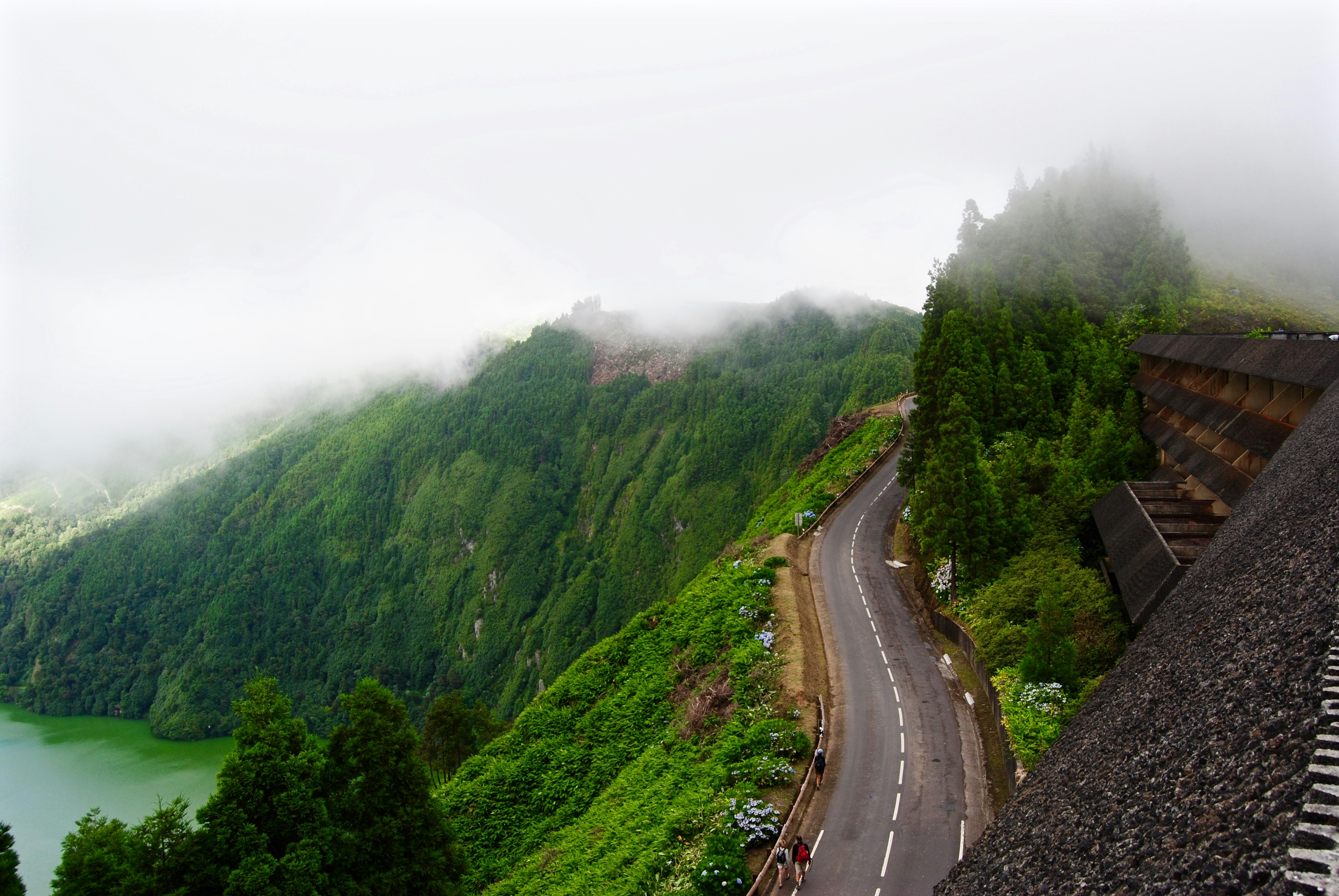 Free Unsplash photo from Alice Giuliano