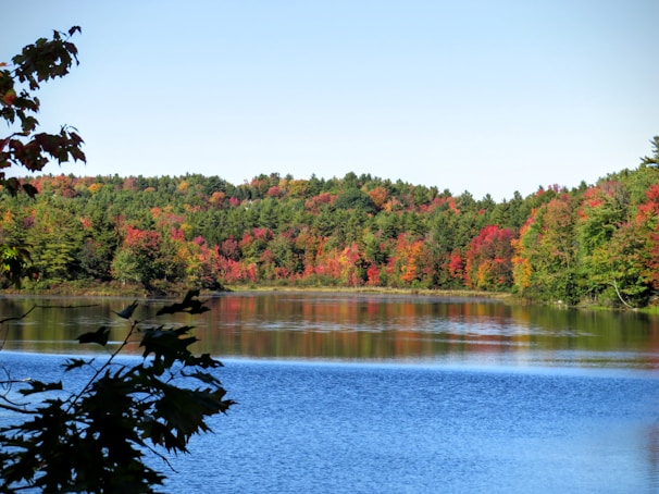 A serene mountain lake reflecting autumn trees with fiery orange and red leaves
