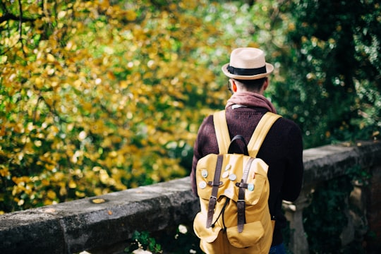 man standing near trees at daytime in Richmond United Kingdom