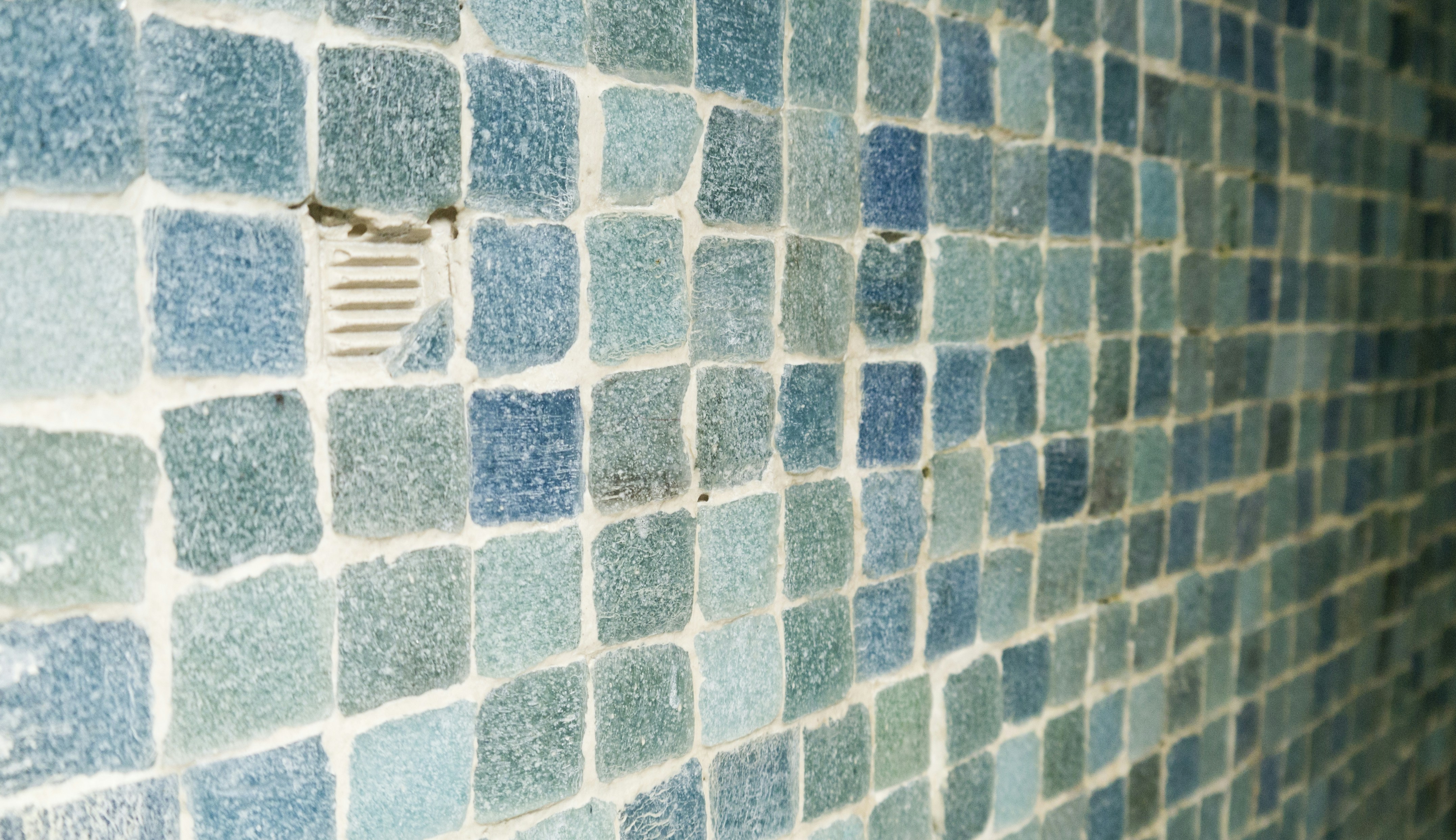 Free Unsplash photo from Celso A. Torres Pirron