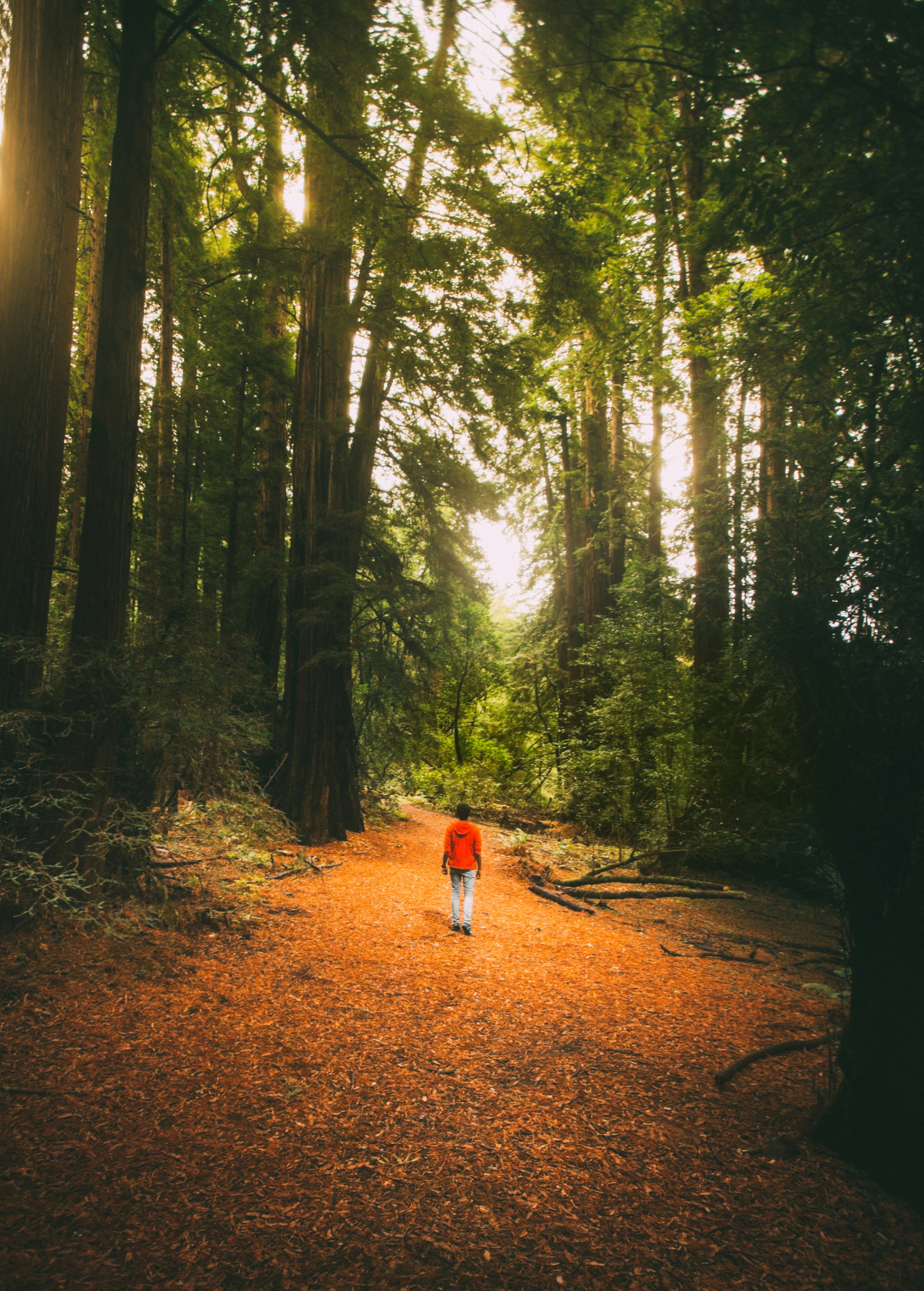 Free Unsplash photo from Saksham Gangwar