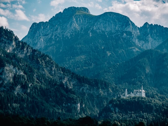 white castle and mountains at daytime in Baroque Church of Saint-Coloman Germany