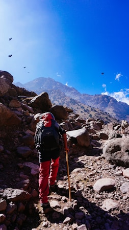 Trail to the Sky: Exploring Hike and Fly Adventures