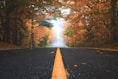 gray concrete road between brown and green leaf trees at daytime