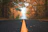 gray concrete road between brown and green leaf trees at daytime