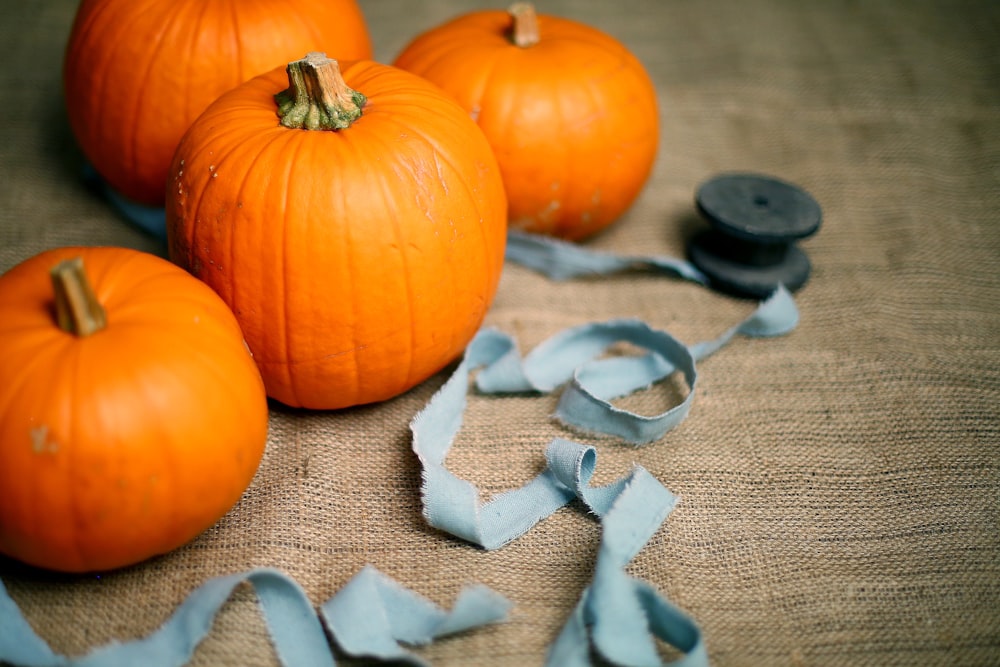 A collection of seasonal pumpkins and a ribbon in Scotland