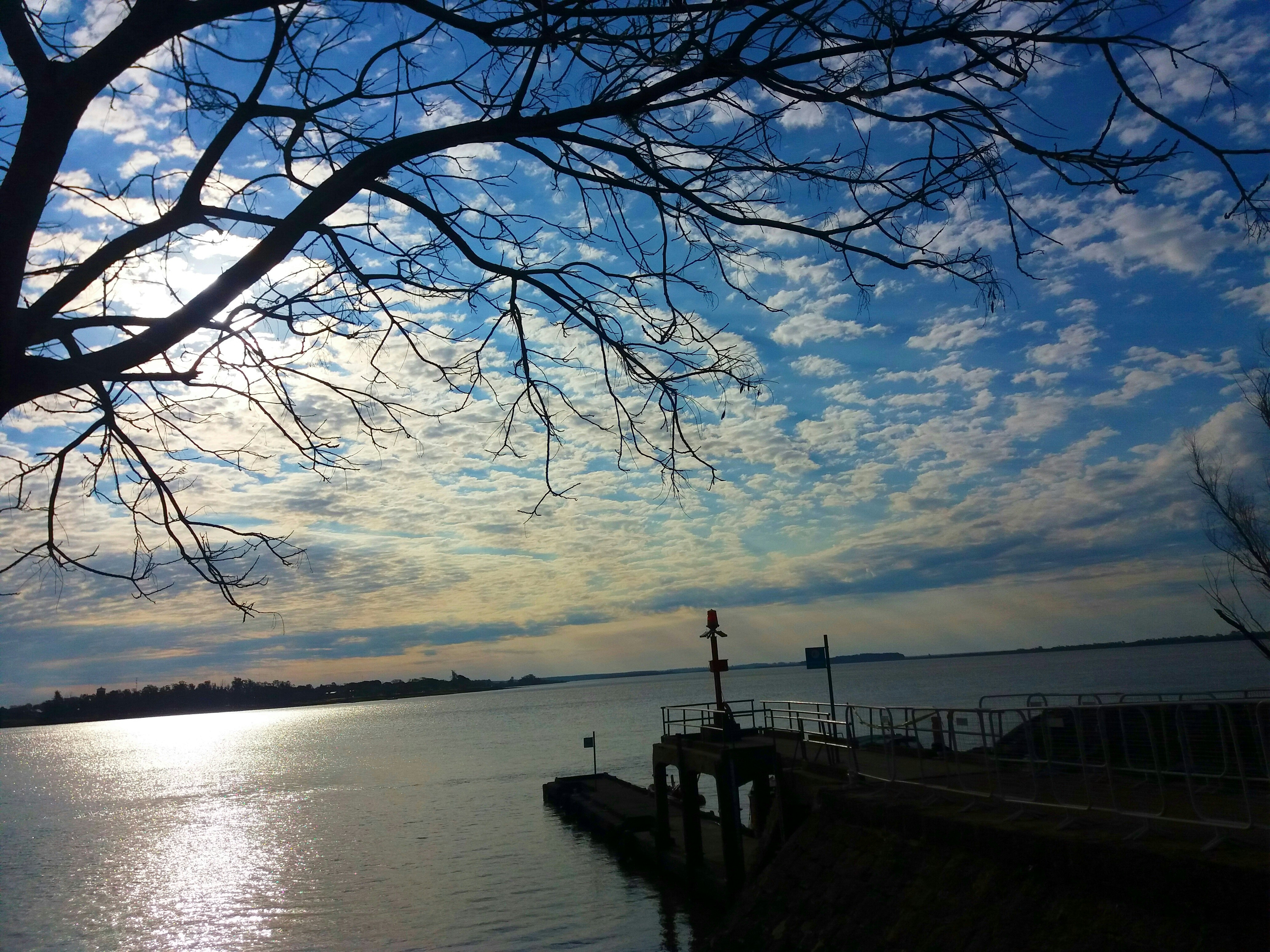 Free Unsplash photo from Ramiro Martinez