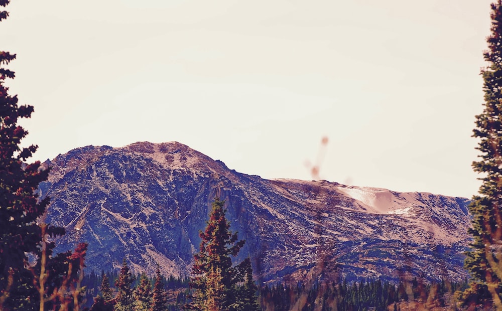 Photographie avec vue sur la montagne