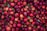 red apple lot