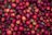 red apple lot