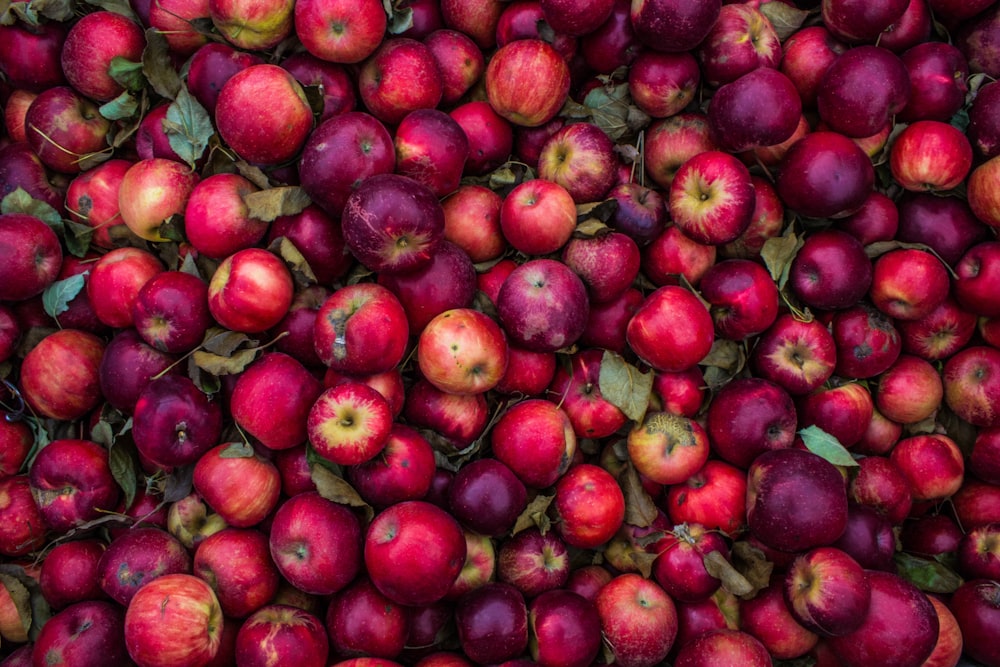 Lot de pommes rouges