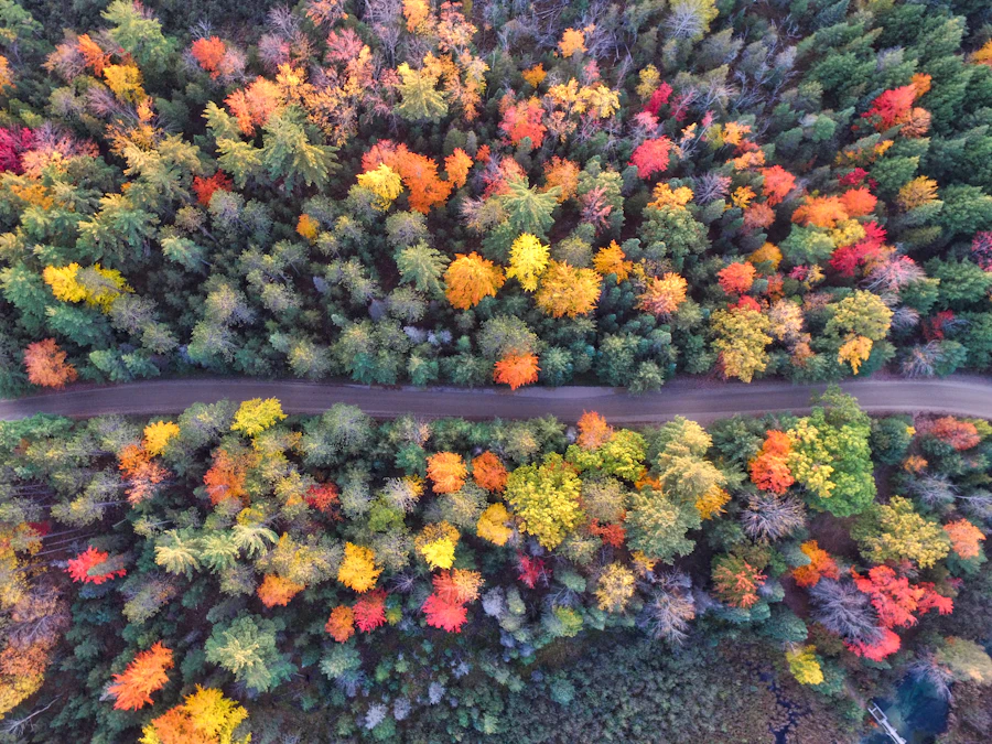 Coolcations Shift to Autumn: Mild Weather, Fall Foliage, and Shoulder-Season Europe