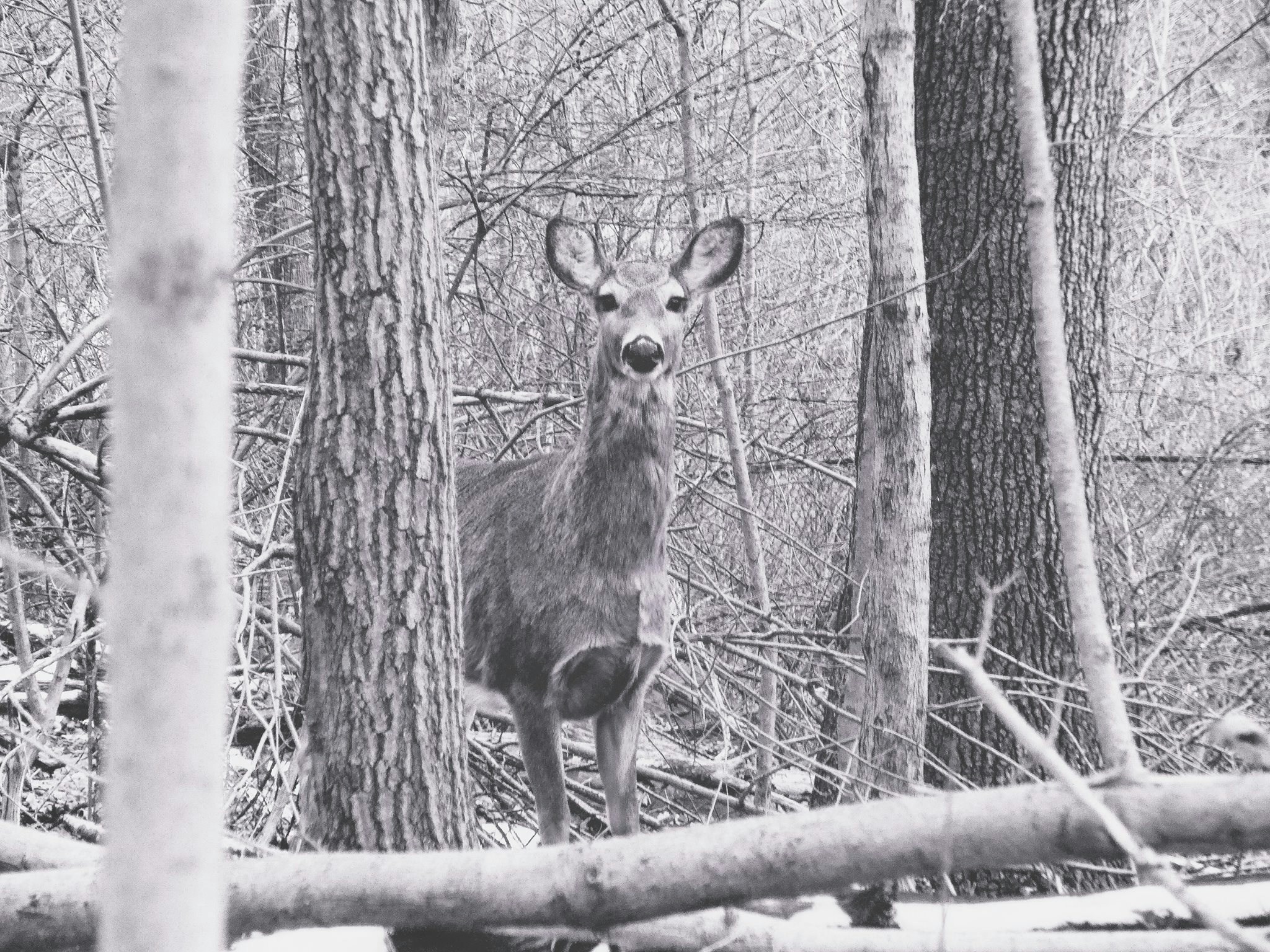 Free Unsplash photo from Sherry chen