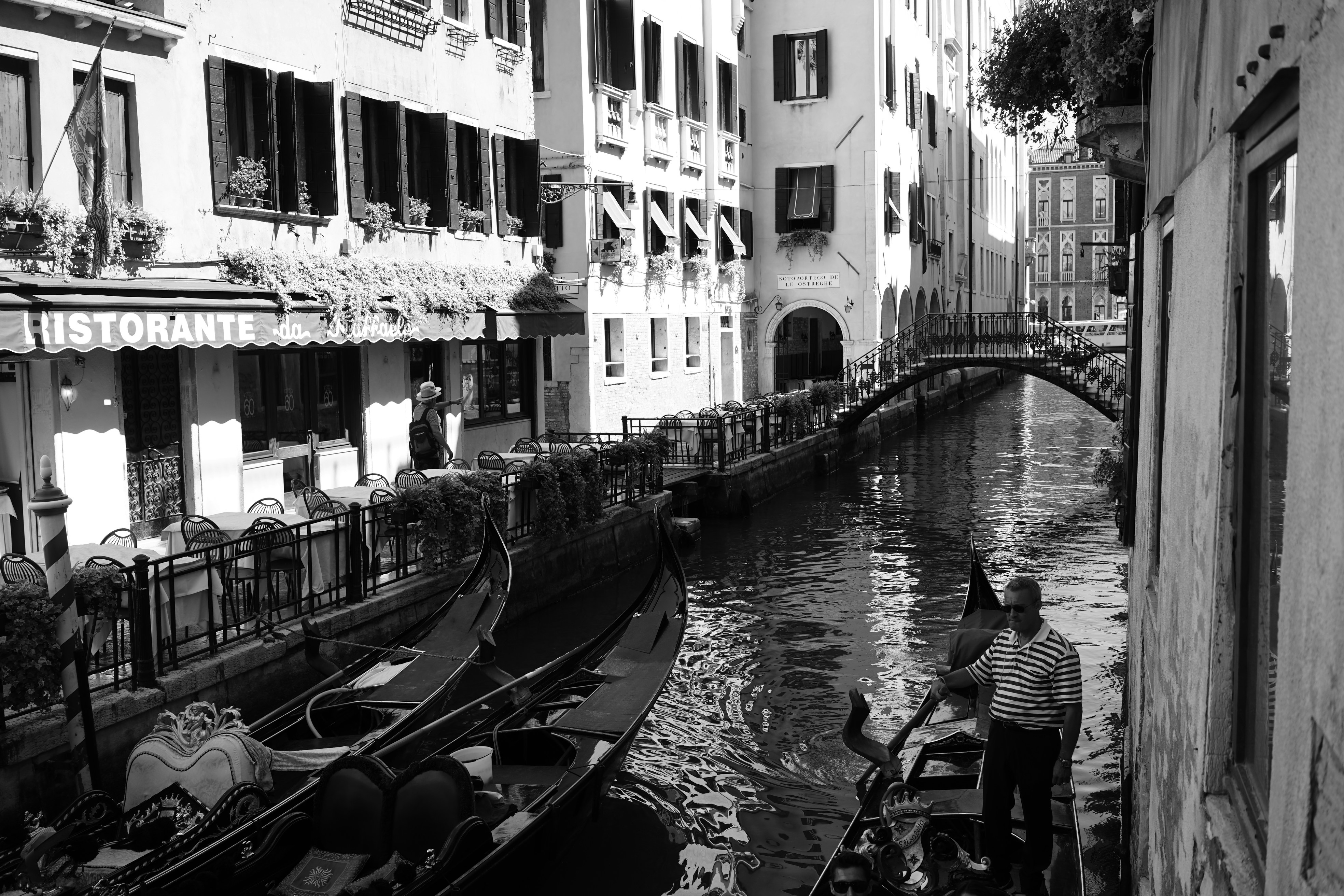 Free Unsplash photo from Patricia Tzannes