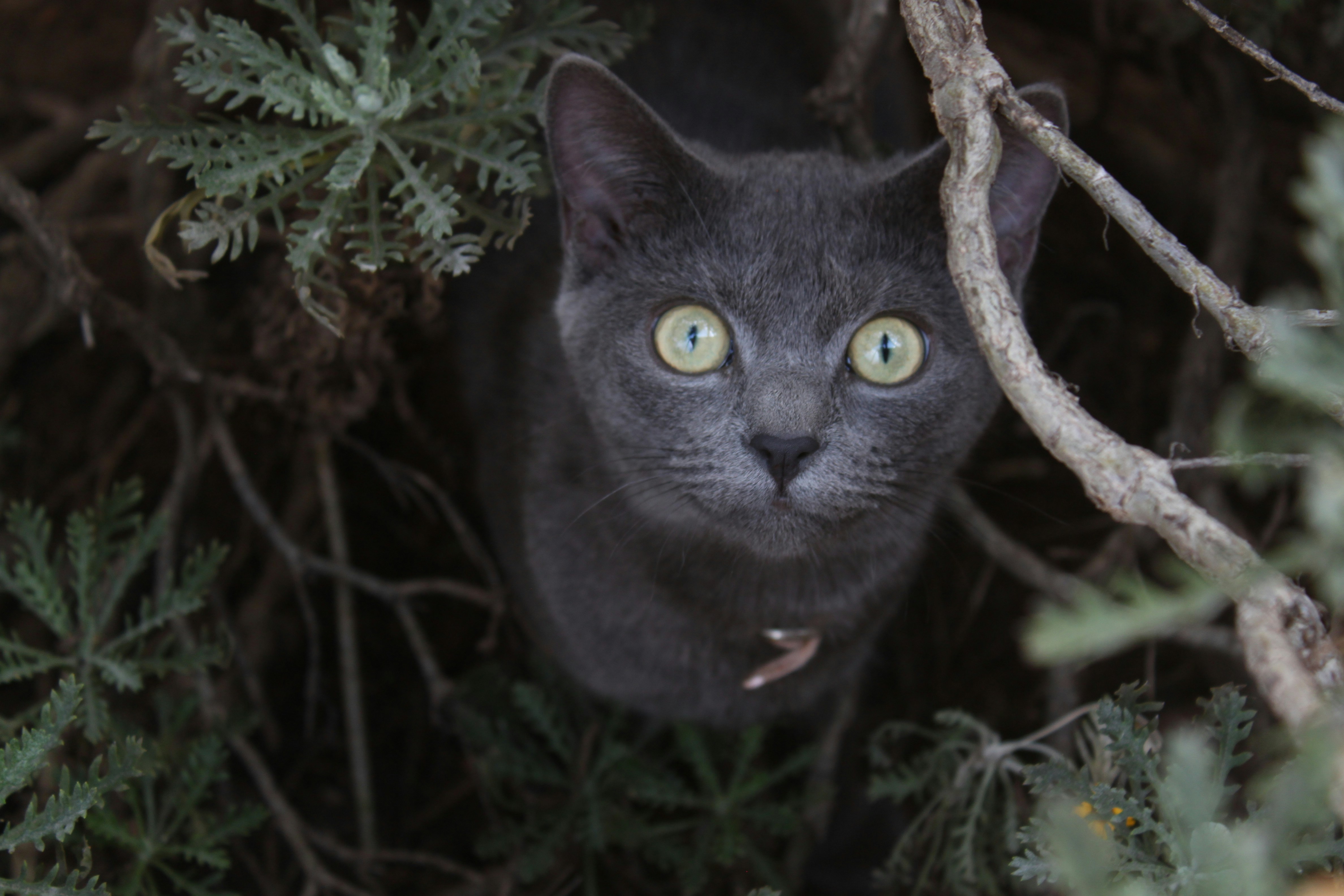 Free Unsplash photo from Renaldo Geldenhuis