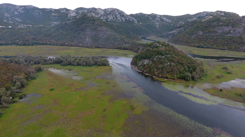 A serene aerial view of a lush green landscape with winding rivers symbolizing ecosystem flow.