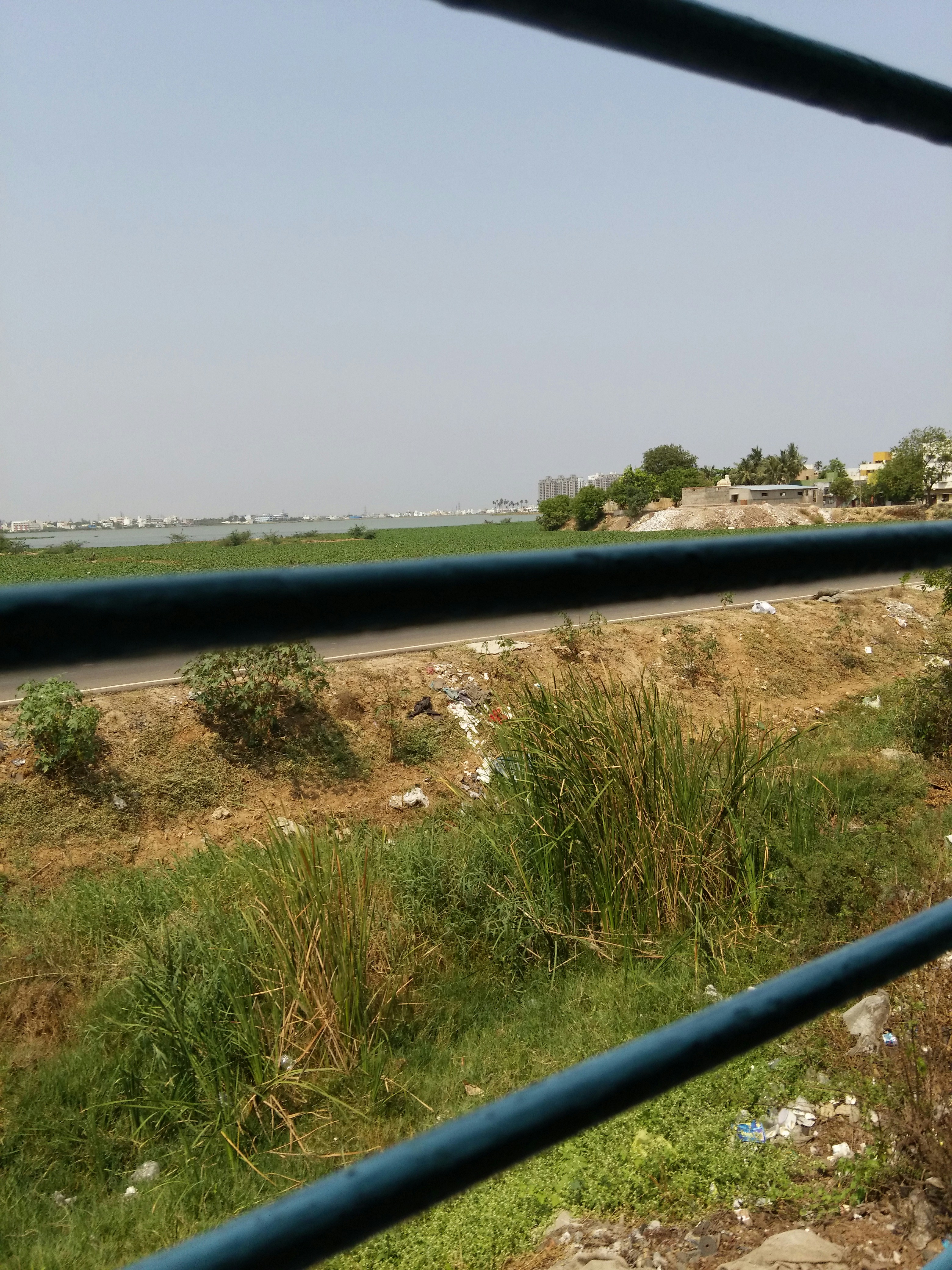 Free Unsplash photo from Pratip Kumaraa Dakshinamoorthi