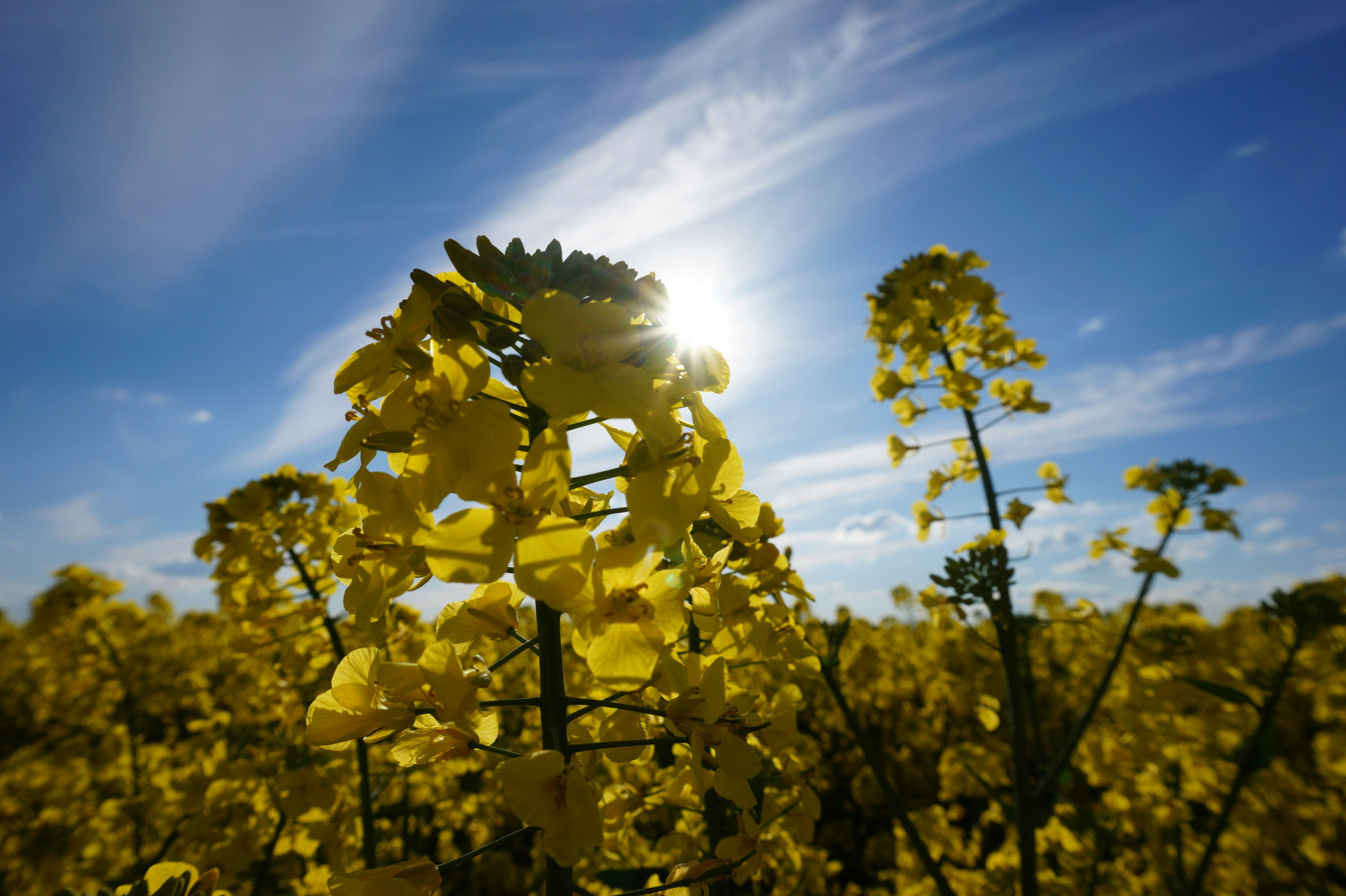 Free Unsplash photo from Cristina Domínguez