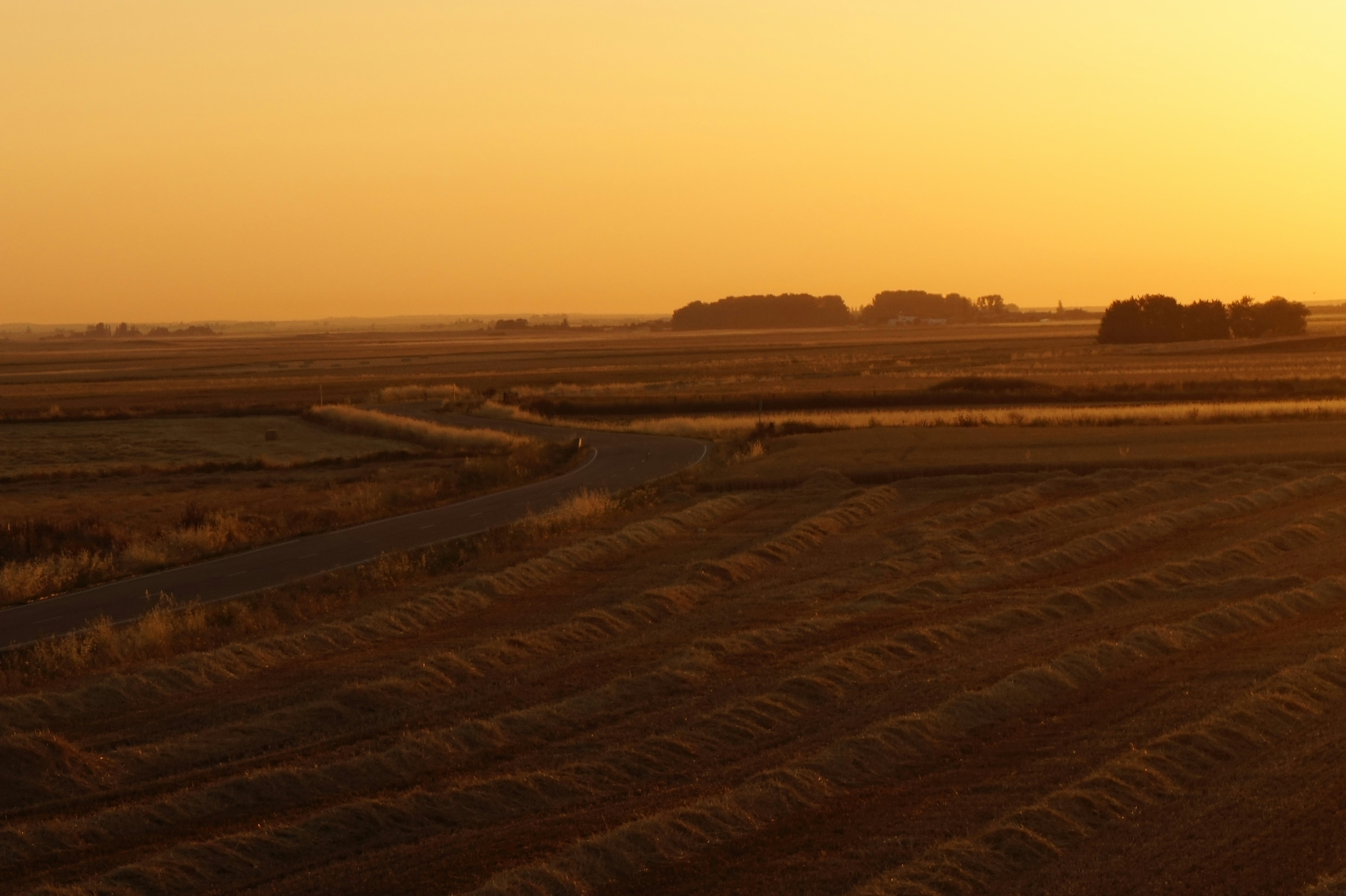 Free Unsplash photo from Cristina Domínguez