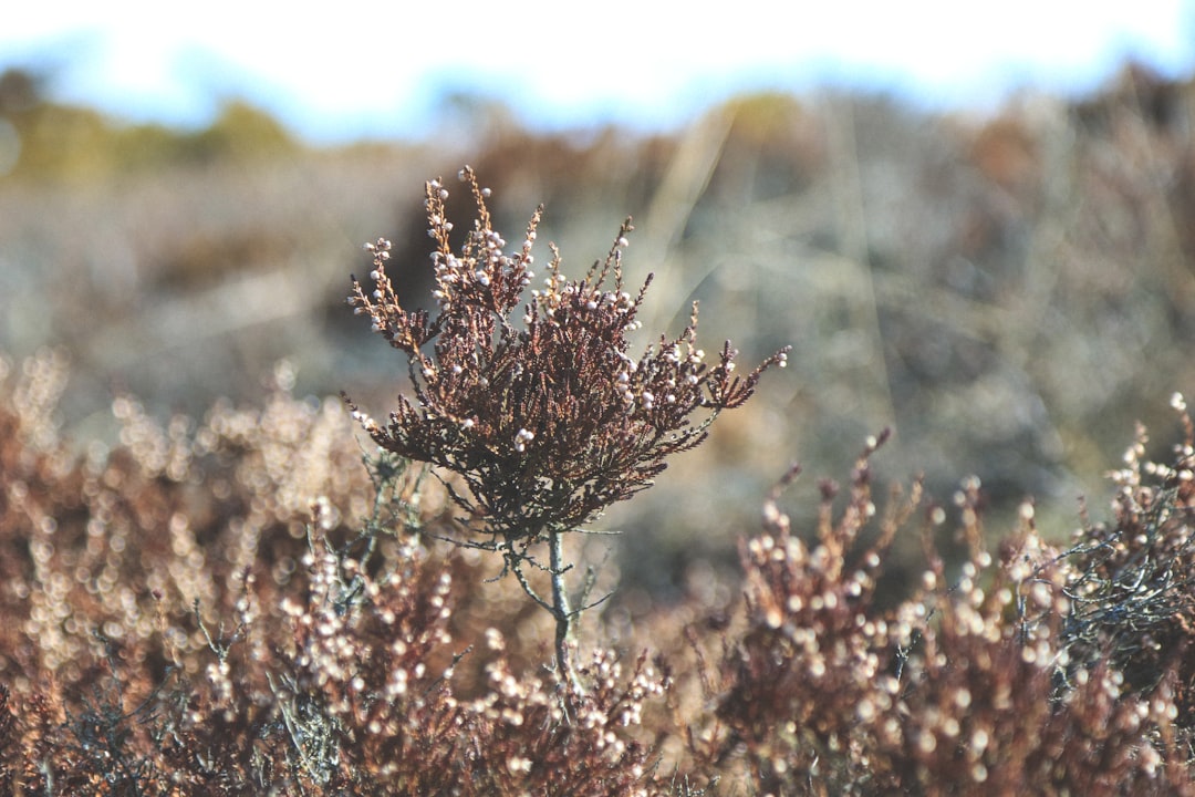 photo of Stockholm archipelago Ecoregion near Grinda