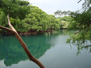 A tranquil lake view surrounded by trees in the park.