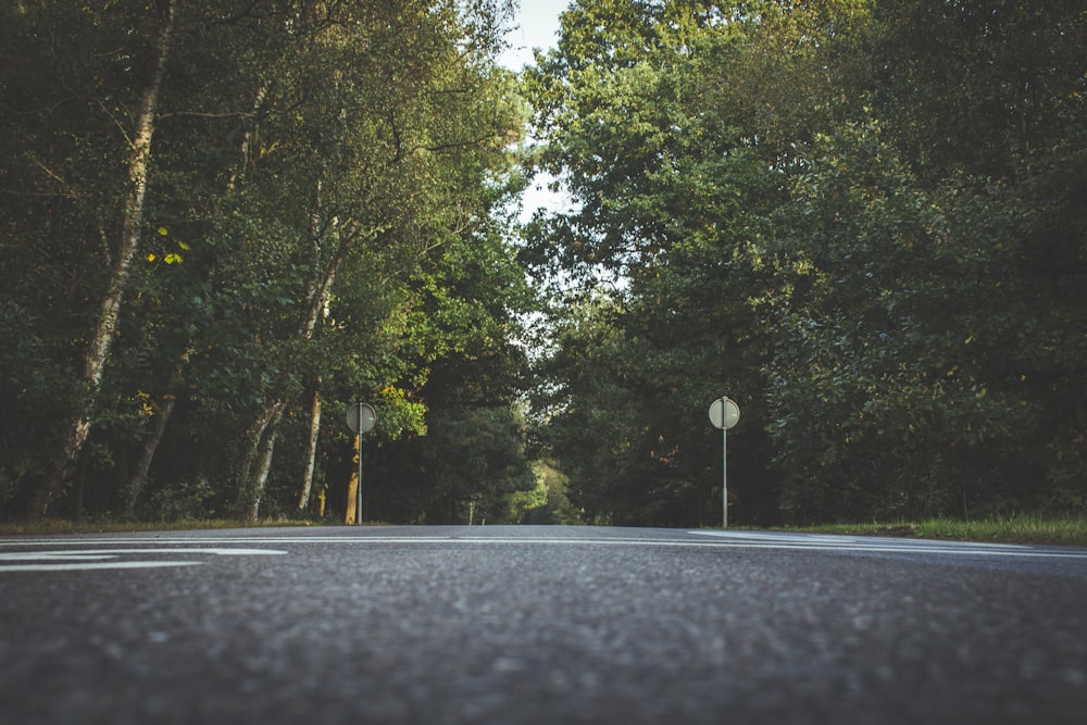 gray concrete road between forest