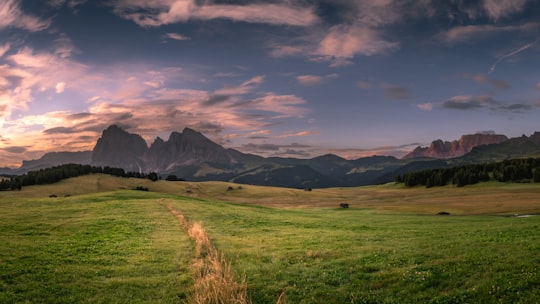 landscape photo of field under cloudy sky during daytime in Seiser Alm Italy